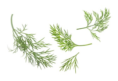 Image of Fresh green dill in air on white background