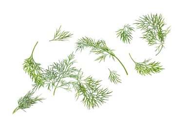 Image of Fresh green dill in air on white background