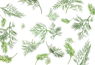 Image of Fresh green dill in air on white background