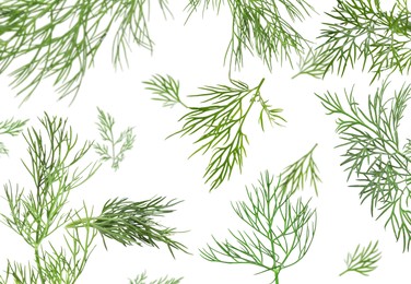 Image of Fresh green dill in air on white background