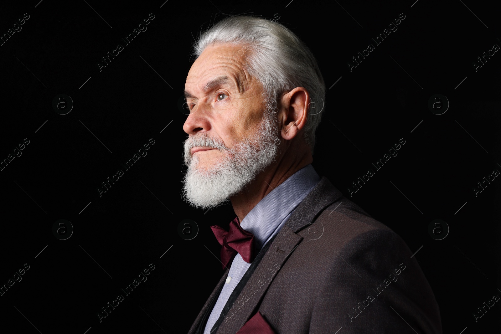 Photo of Portrait of serious senior man with silver beard on black background