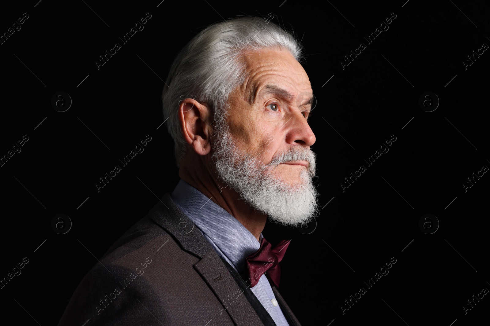 Photo of Portrait of serious senior man with silver beard on black background