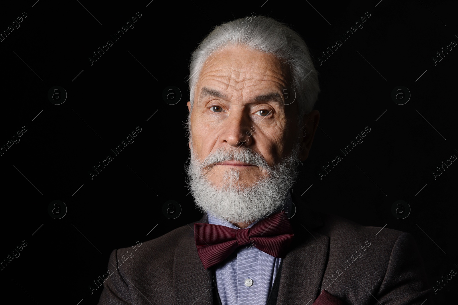 Photo of Portrait of serious senior man with silver beard on black background