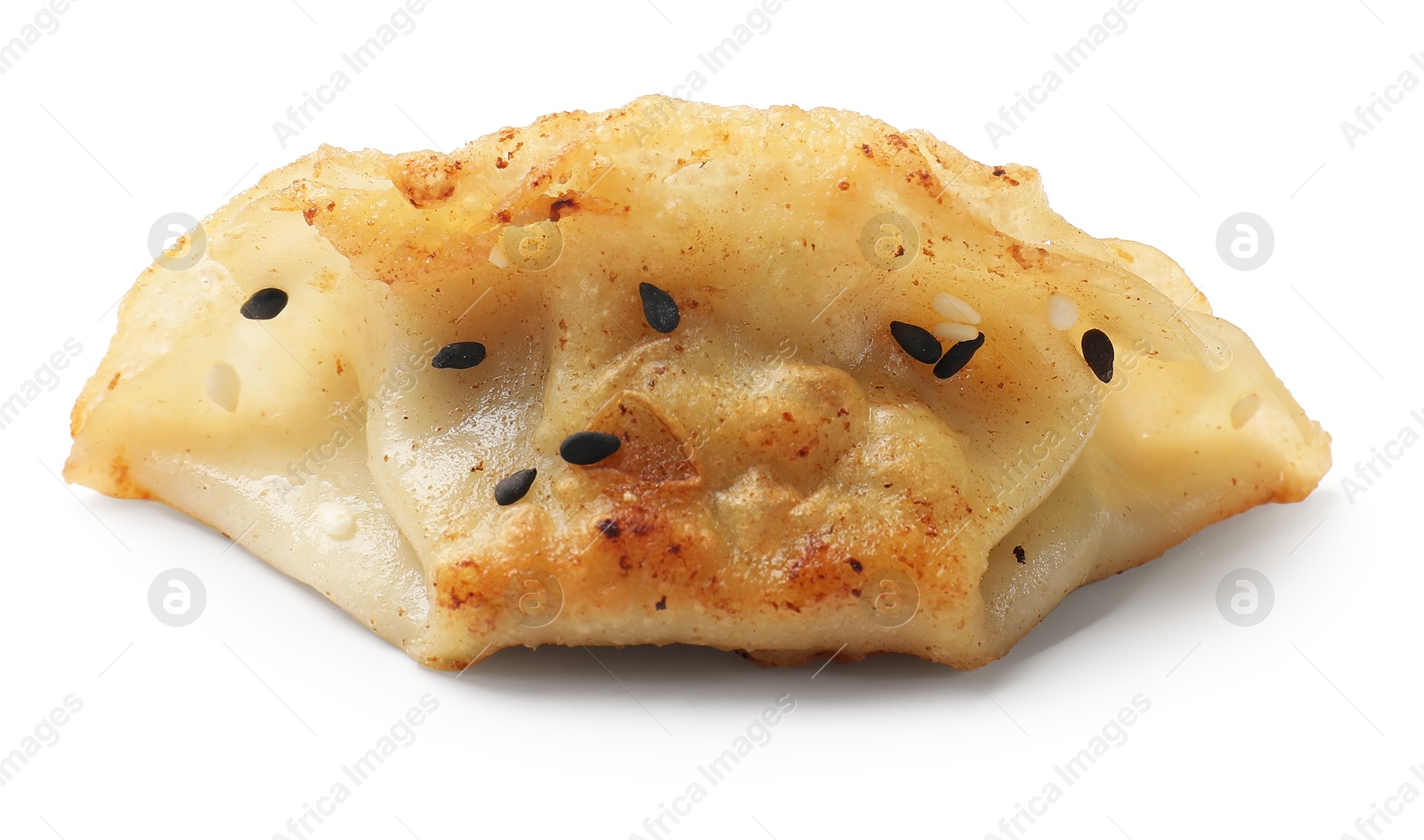 Photo of One fried gyoza dumpling isolated on white