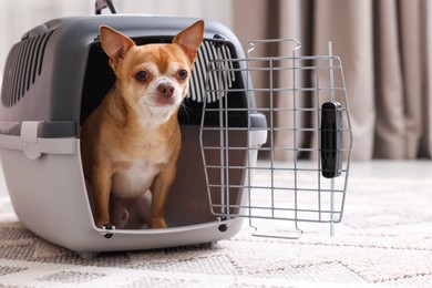 Photo of Adorable dog in pet carrier on floor indoors