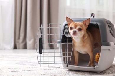 Photo of Adorable dog in pet carrier on floor indoors