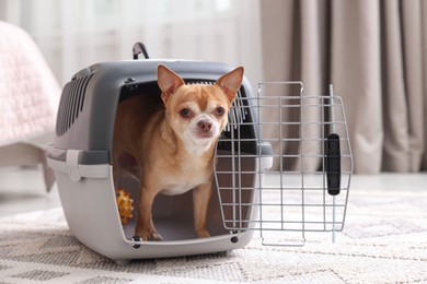 Photo of Adorable dog in pet carrier on floor indoors