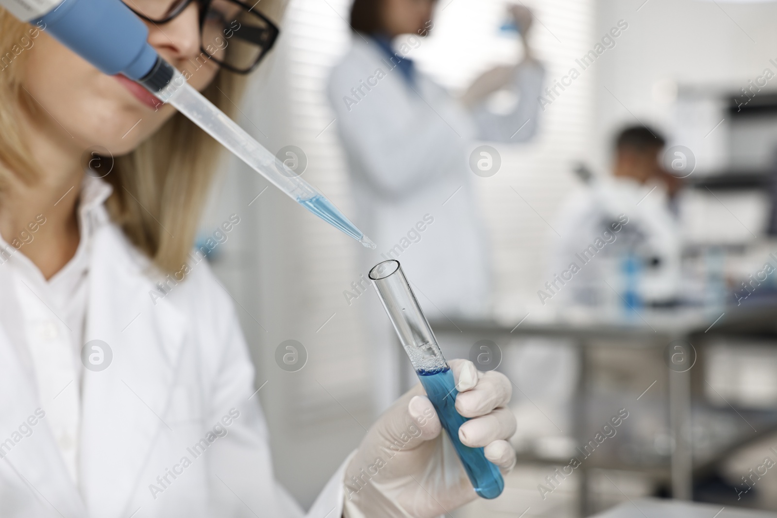 Photo of Scientist with micropipette and test tube working in laboratory, closeup