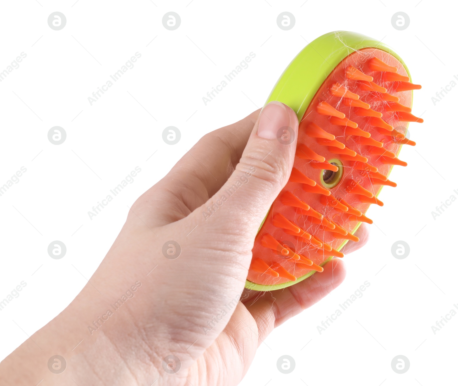 Photo of Woman holding grooming brush with pet's hair on white background, closeup