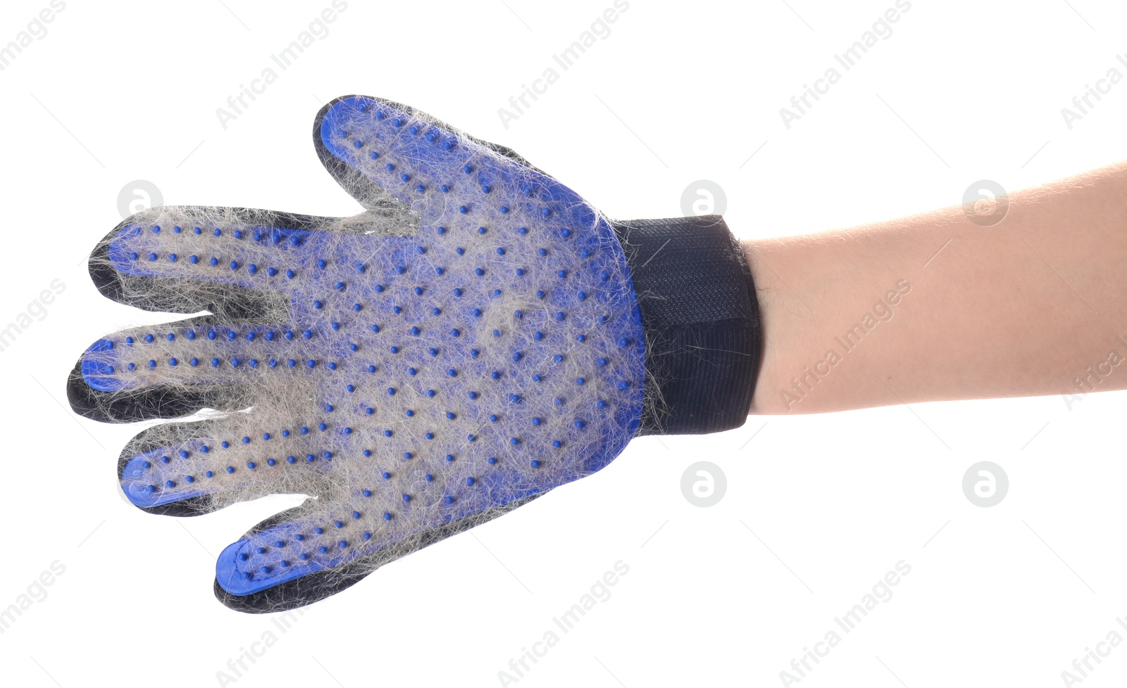 Photo of Woman wearing grooming glove with pet's hair on white background, closeup