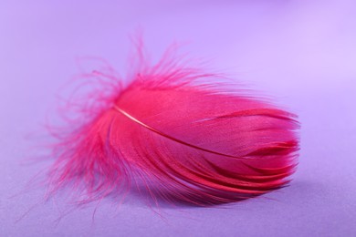 Photo of Fluffy pink feather on purple background, closeup