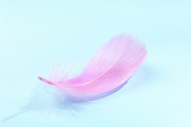 Photo of Fluffy pink feather on light blue background, closeup