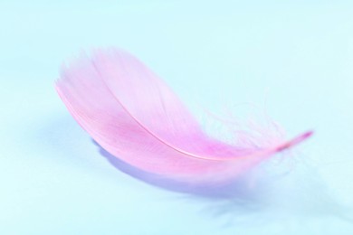 Fluffy pink feather on light blue background, closeup