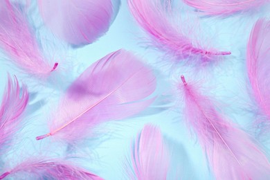 Photo of Fluffy pink feathers on light blue background, closeup