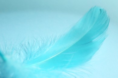 Photo of One fluffy feather on light blue background, closeup