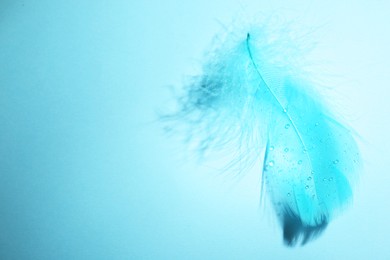 Photo of One fluffy feather on light blue background, top view. Space for text