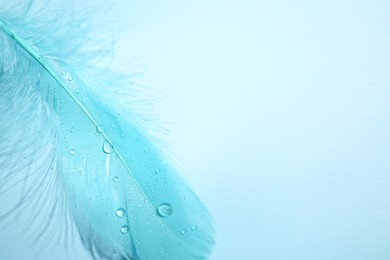 Photo of Fluffy feather on light blue background, top view. Space for text