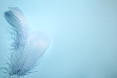 Fluffy feathers on light blue background, top view. Space for text