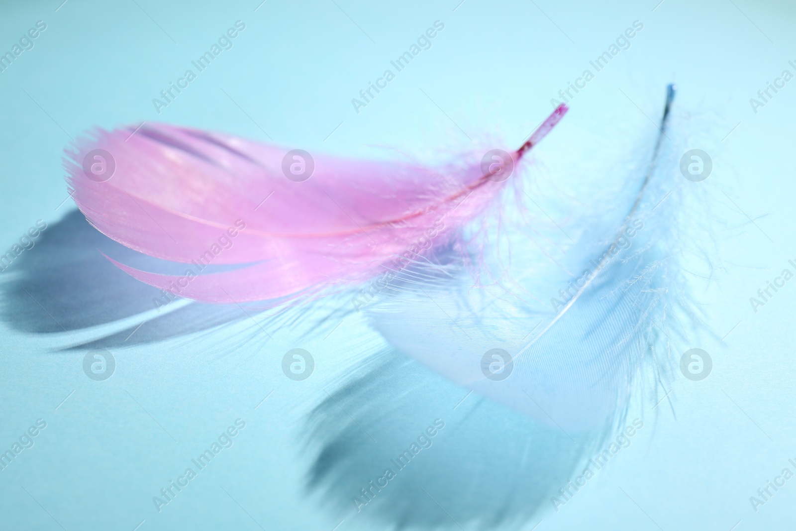 Photo of Fluffy feathers on light blue background, closeup