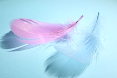 Fluffy feathers on light blue background, closeup