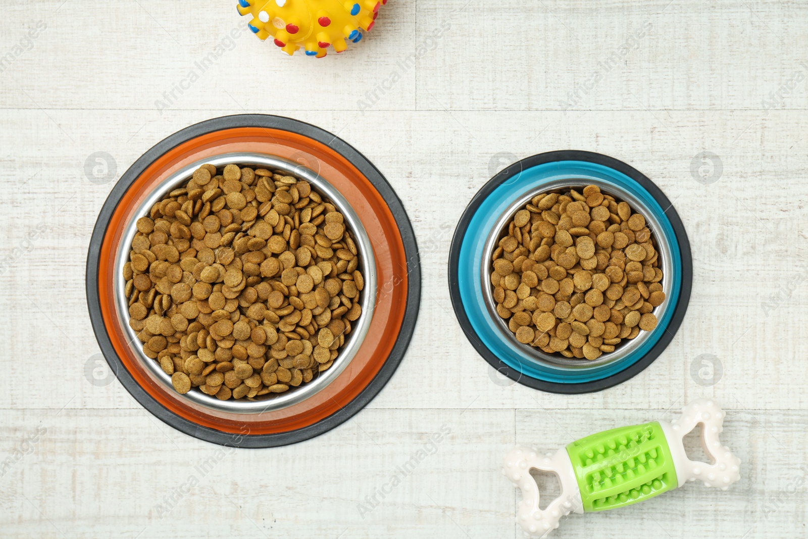 Photo of Dry pet food in feeding bowls and toys on floor, flat lay