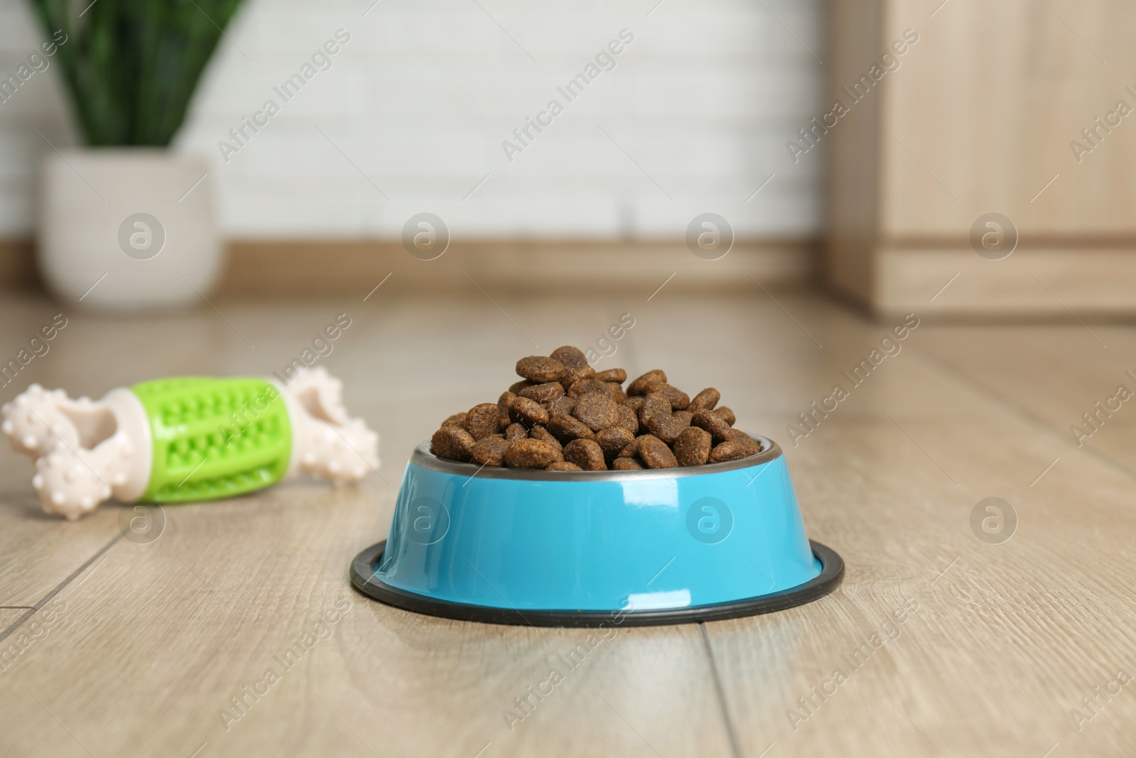 Photo of Dry pet food in feeding bowl and toy on floor indoors