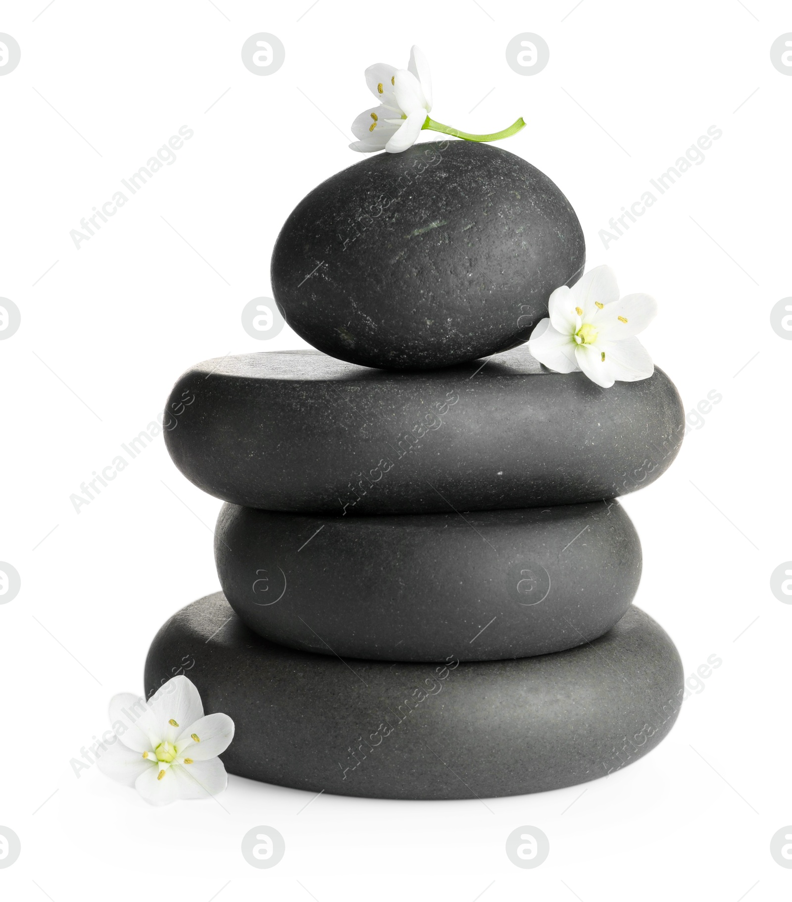 Photo of Stacked spa stones and beautiful flowers isolated on white