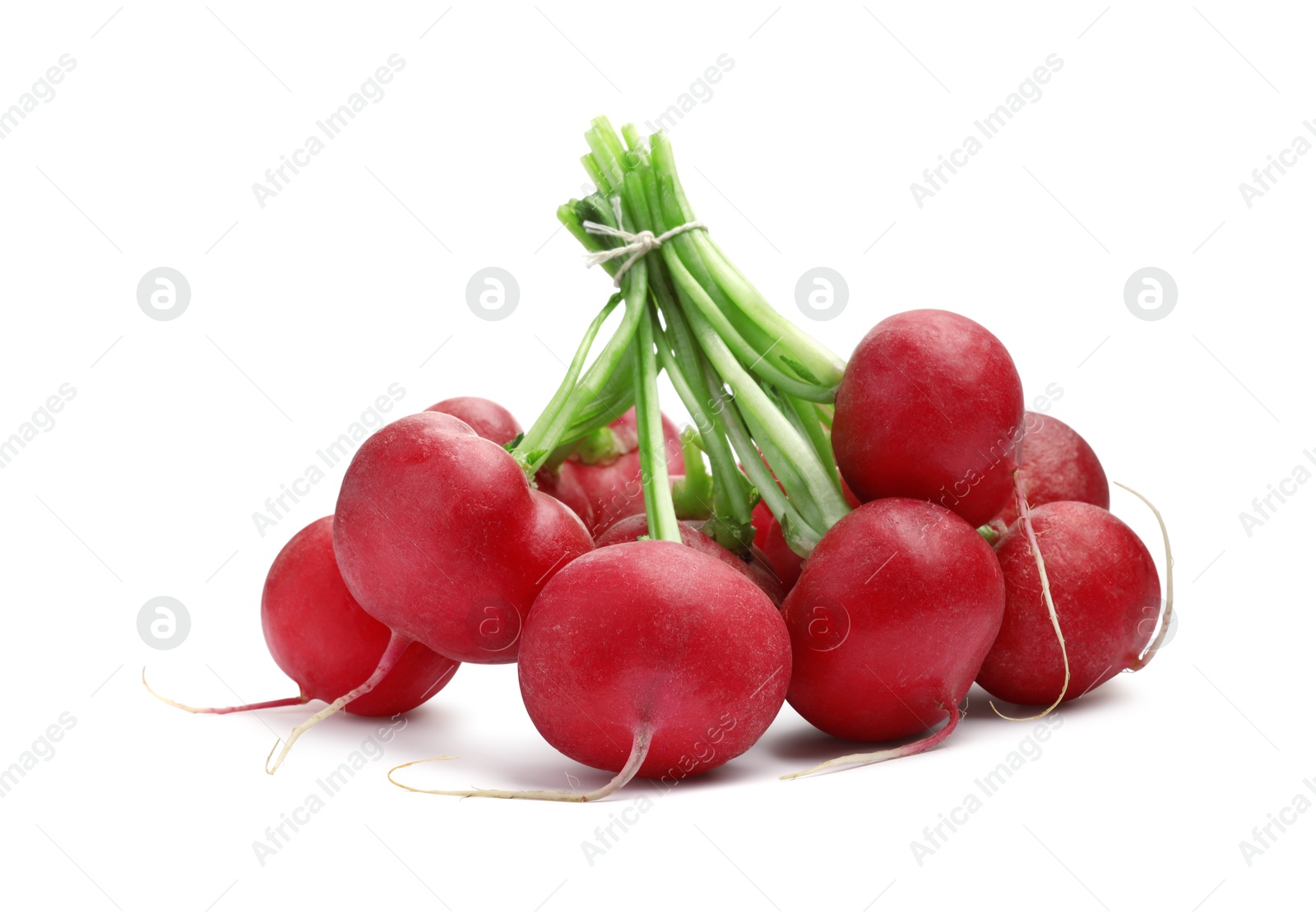 Photo of Bunch of fresh ripe radishes isolated on white