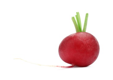 Photo of One fresh ripe radish isolated on white