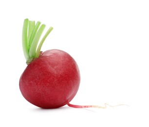 Photo of One fresh ripe radish isolated on white