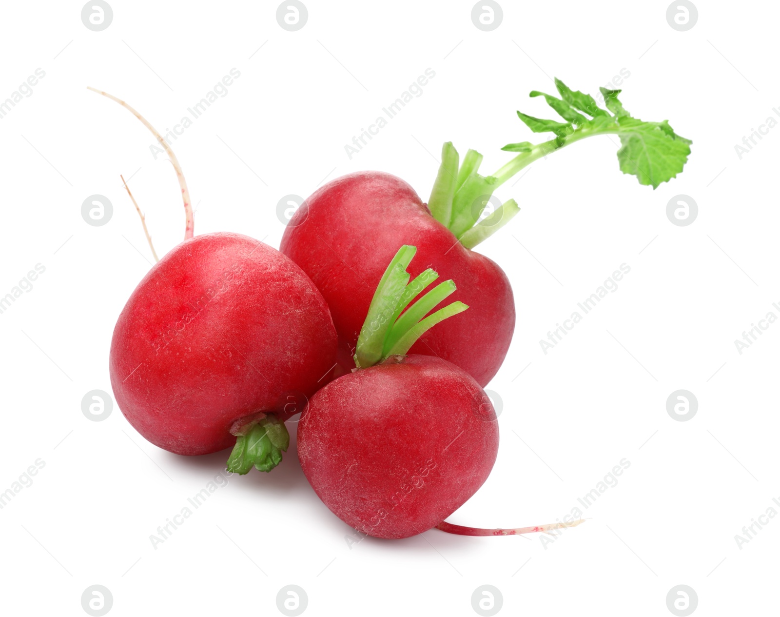 Photo of Three fresh ripe radishes isolated on white