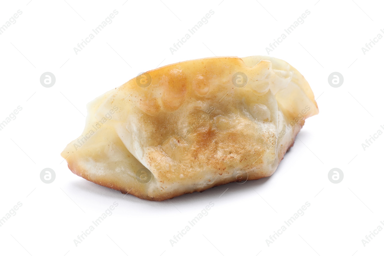 Photo of One fried gyoza dumpling isolated on white