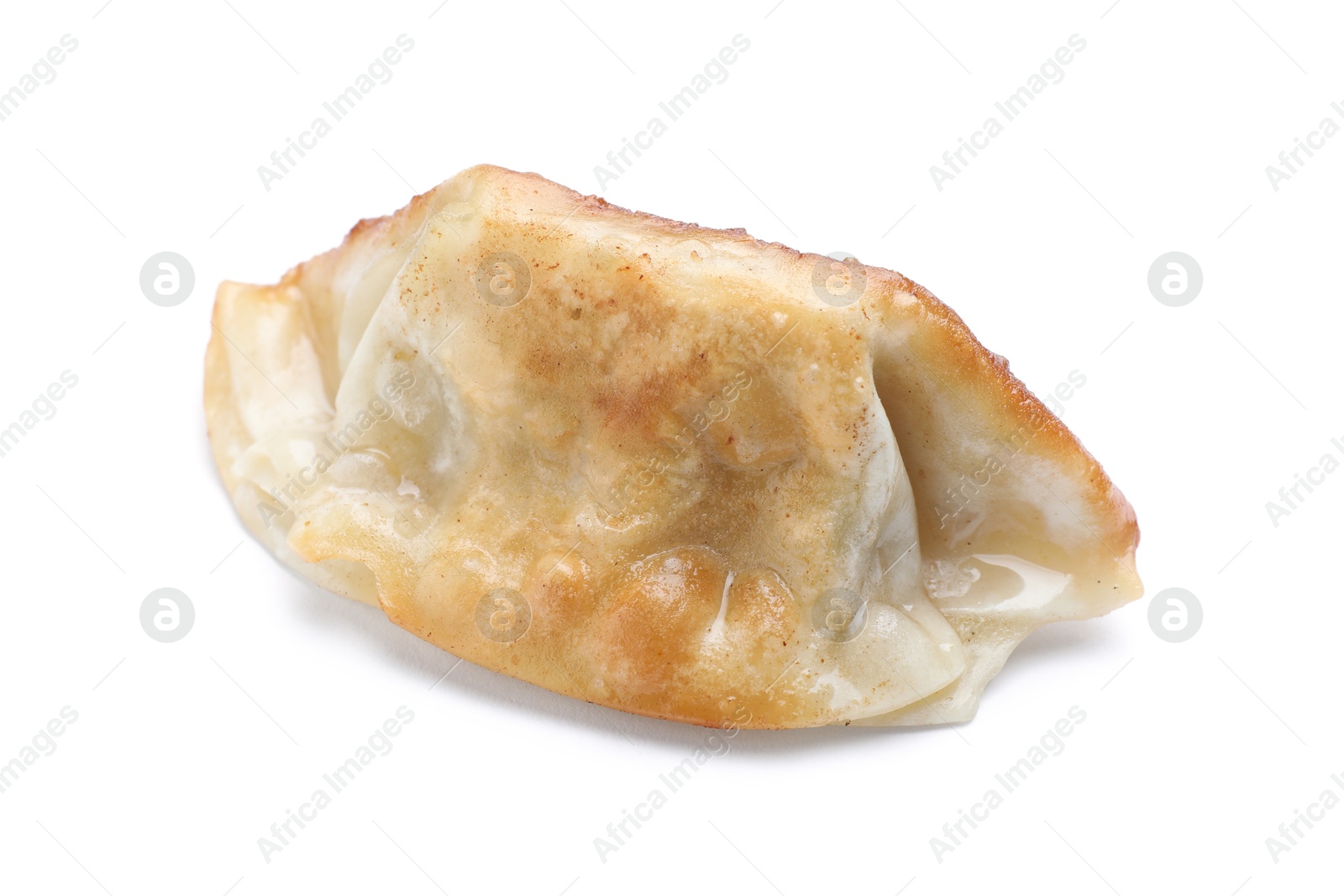 Photo of One fried gyoza dumpling isolated on white