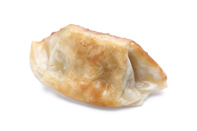 One fried gyoza dumpling isolated on white