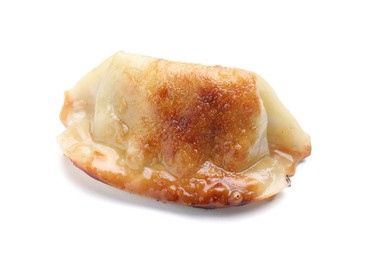 One fried gyoza dumpling isolated on white