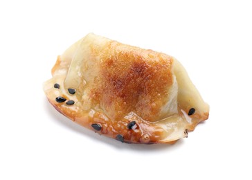 Photo of One fried gyoza dumpling isolated on white