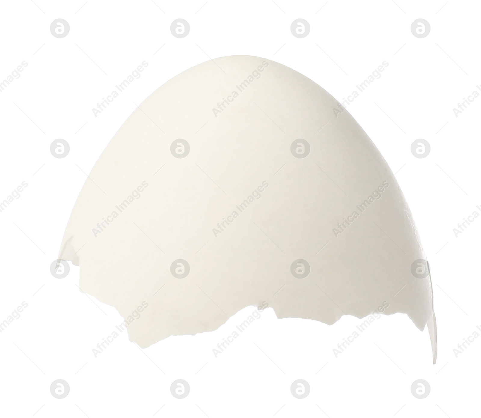 Photo of Piece of cracked eggshell isolated on white