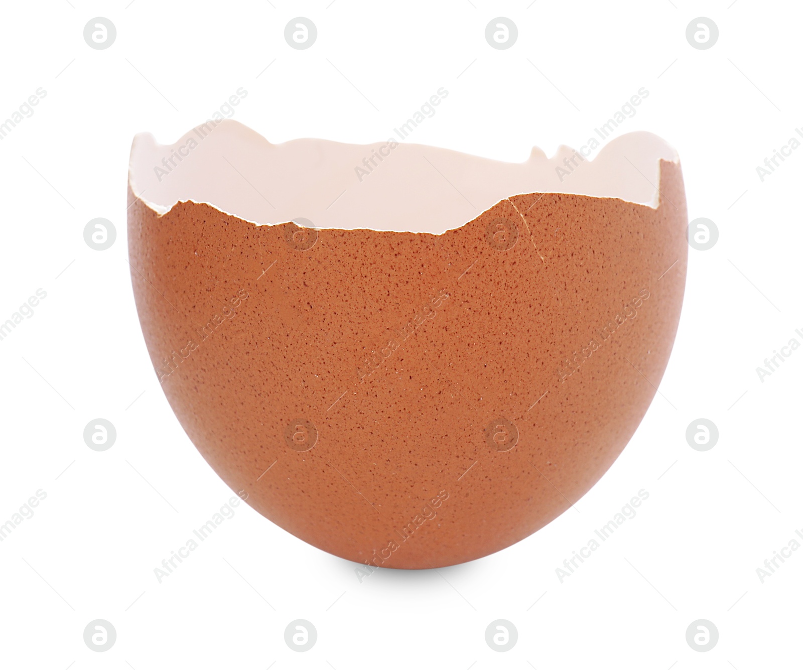 Photo of One piece of broken eggshell isolated on white