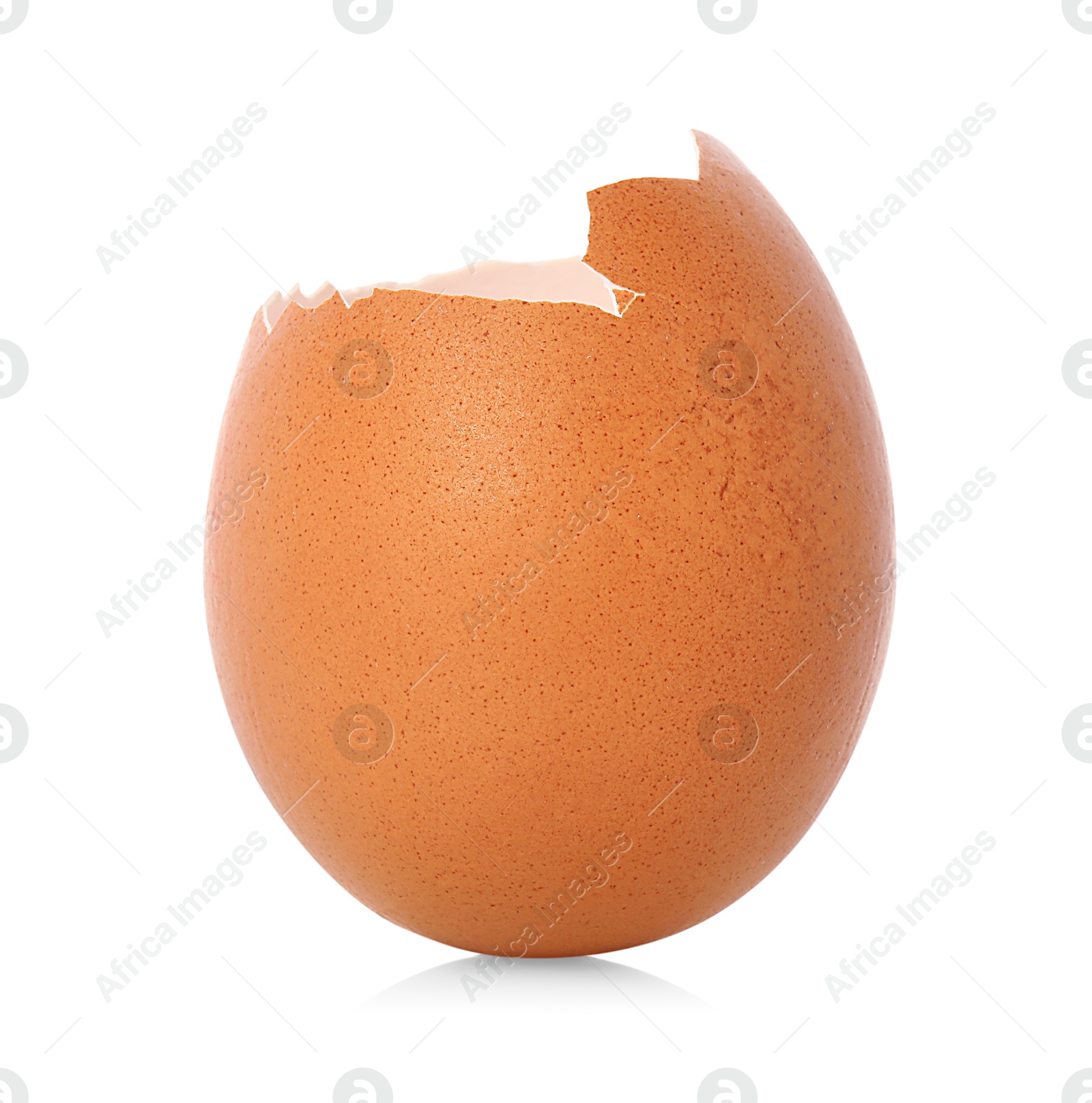 Photo of One piece of broken eggshell on mirror surface against white background