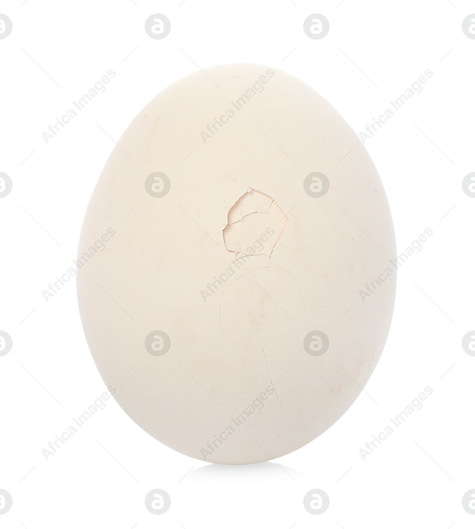 Photo of One piece of broken eggshell on mirror surface against white background