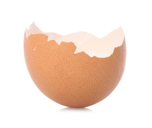 Photo of One piece of broken eggshell on mirror surface against white background