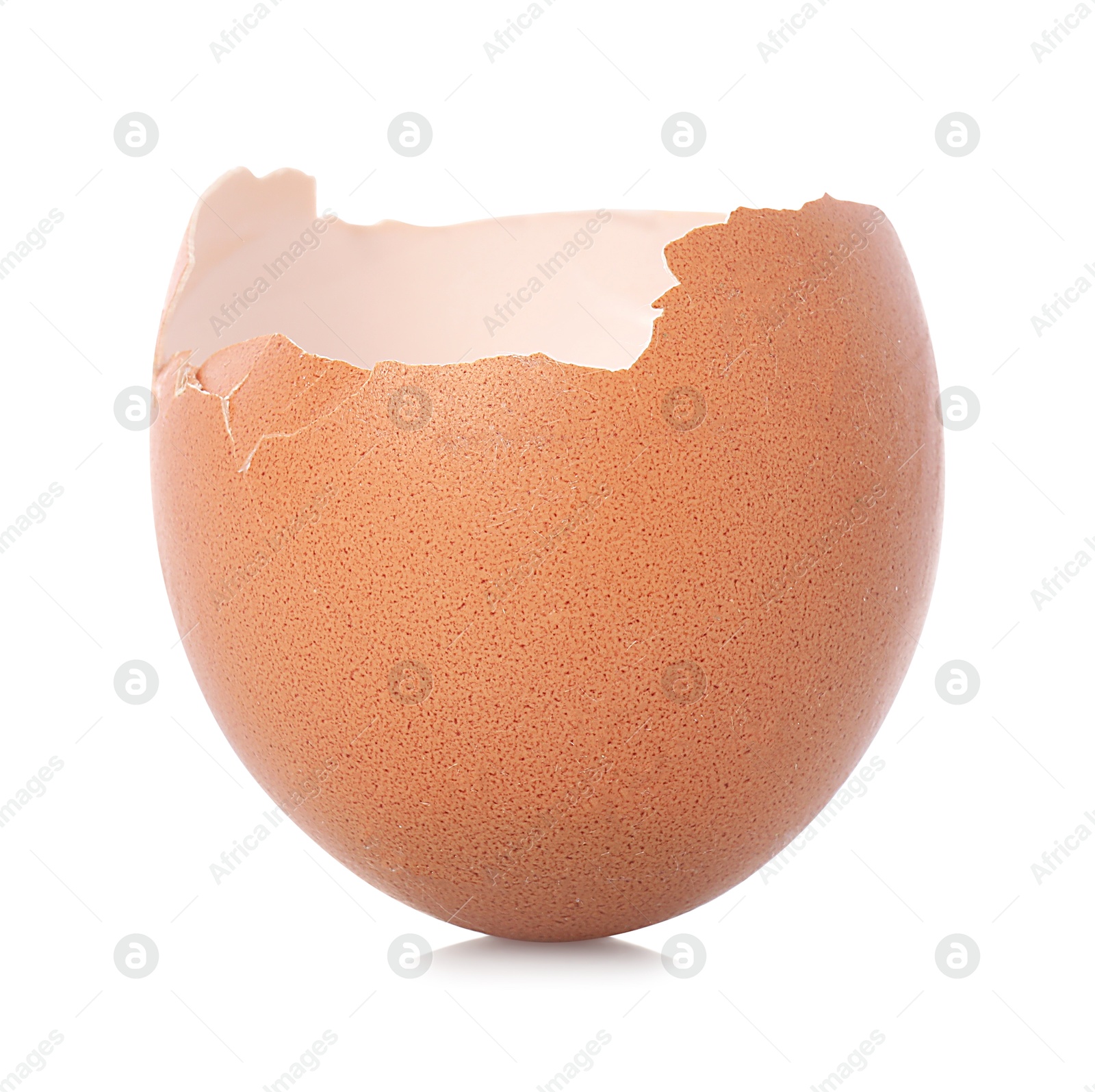 Photo of One piece of broken eggshell on mirror surface against white background