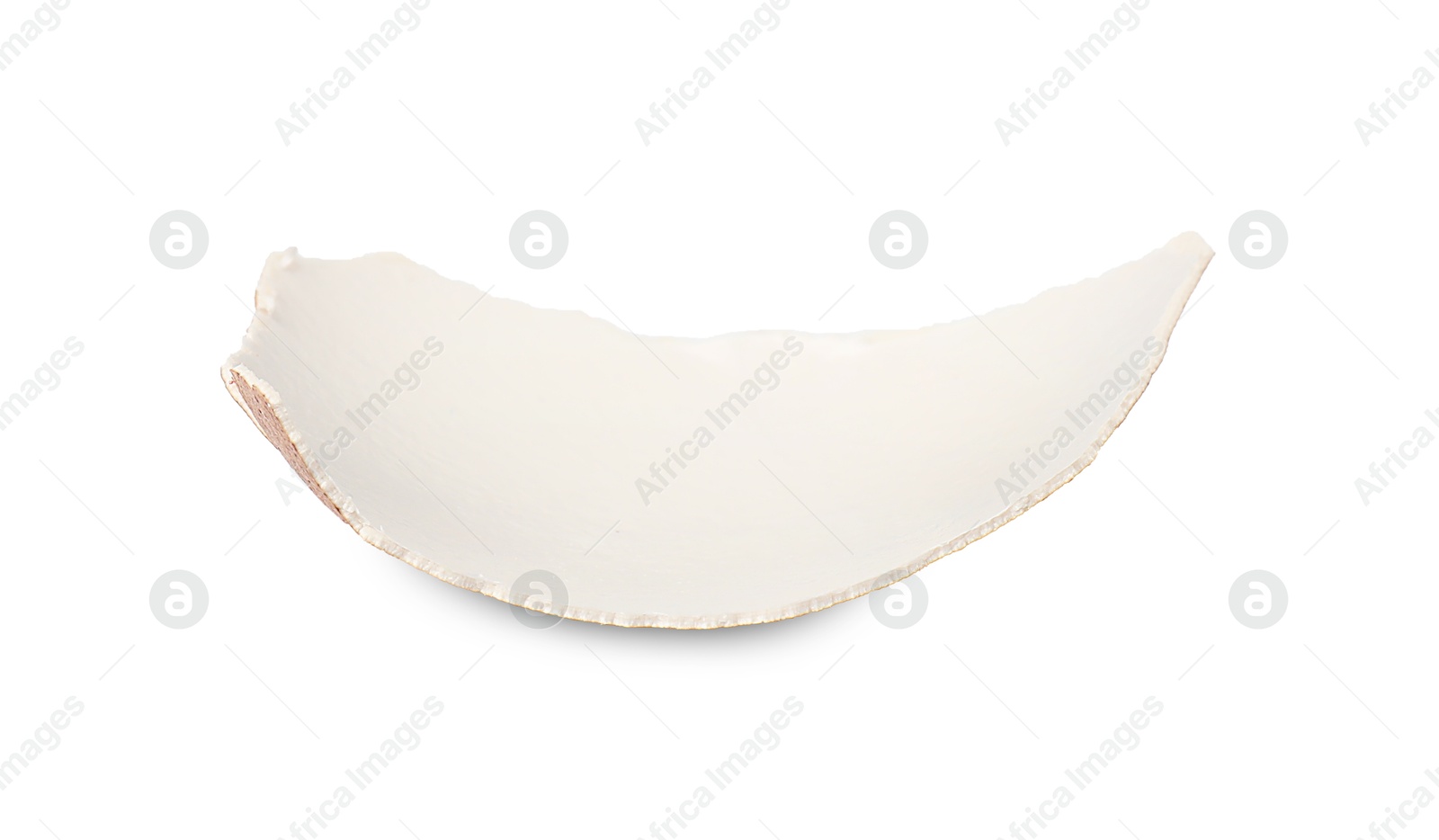 Photo of One piece of broken eggshell isolated on white