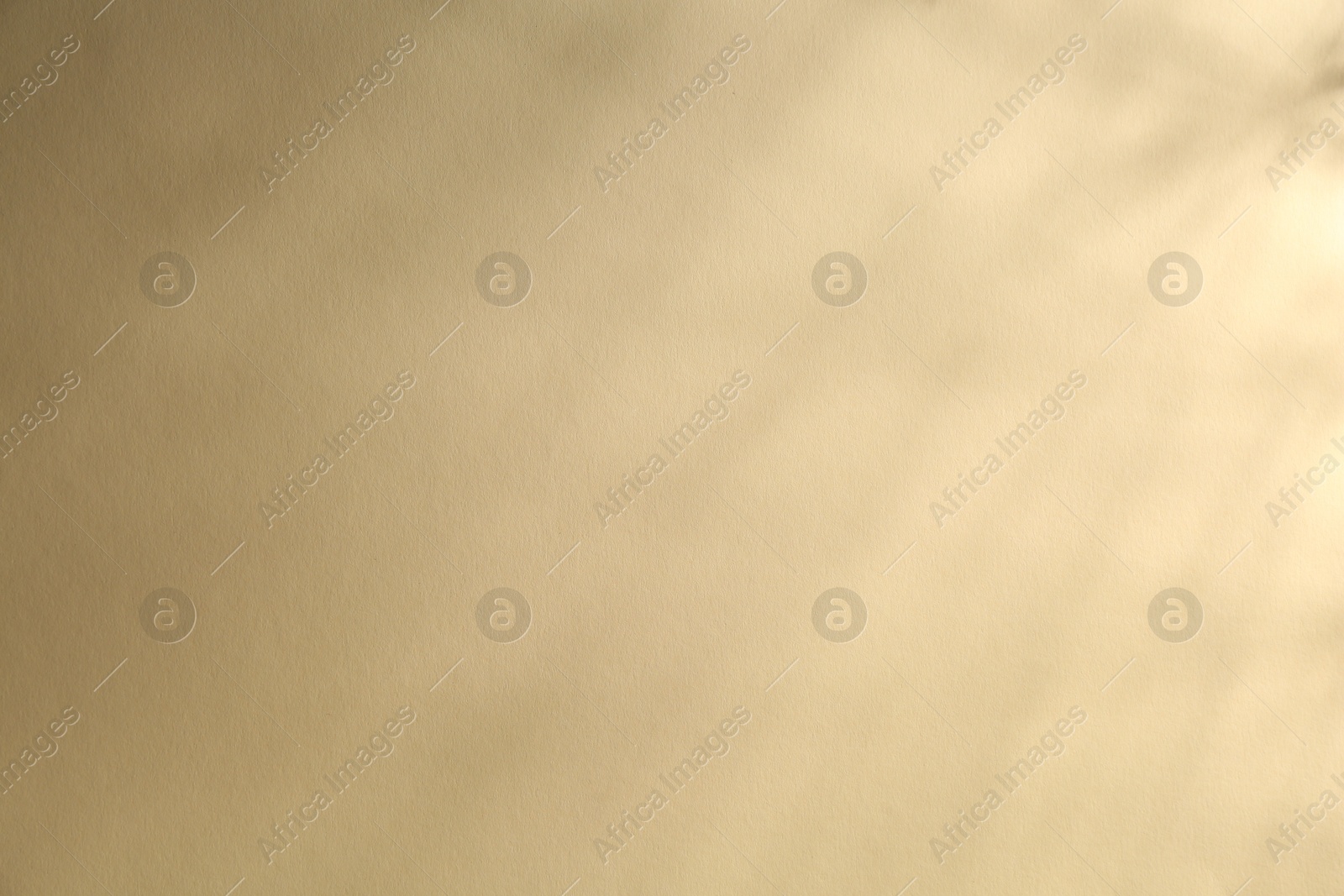 Photo of Light and shadows falling on beige background