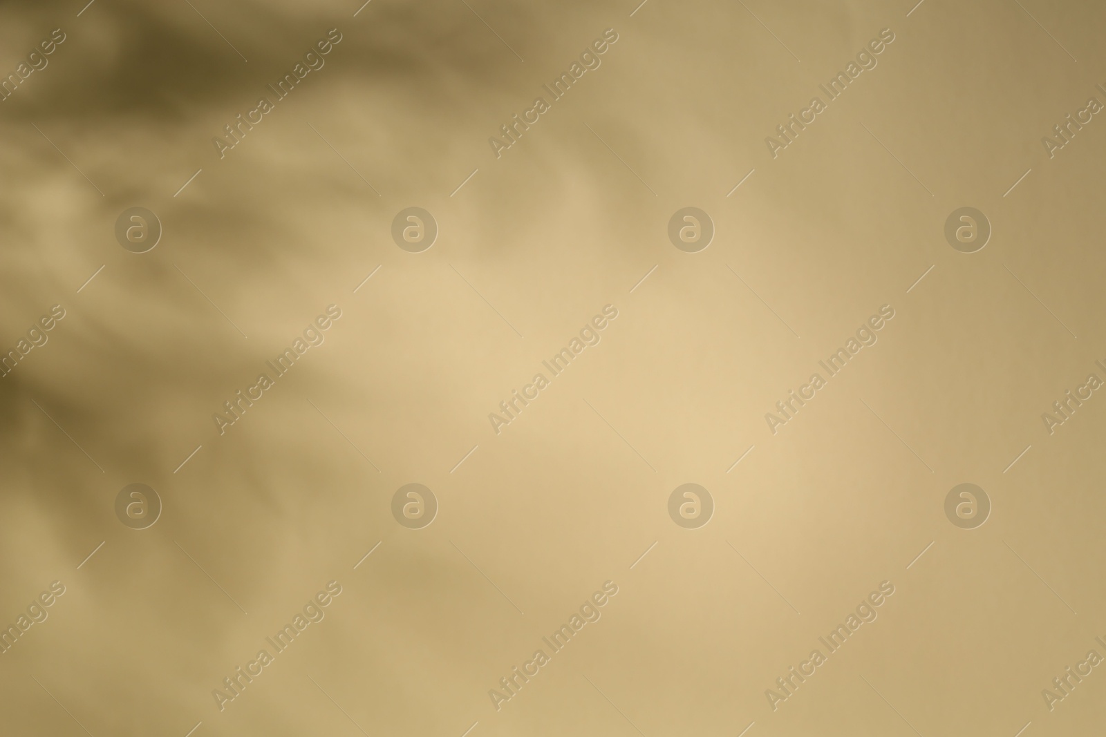 Photo of Light and shadows falling on beige background