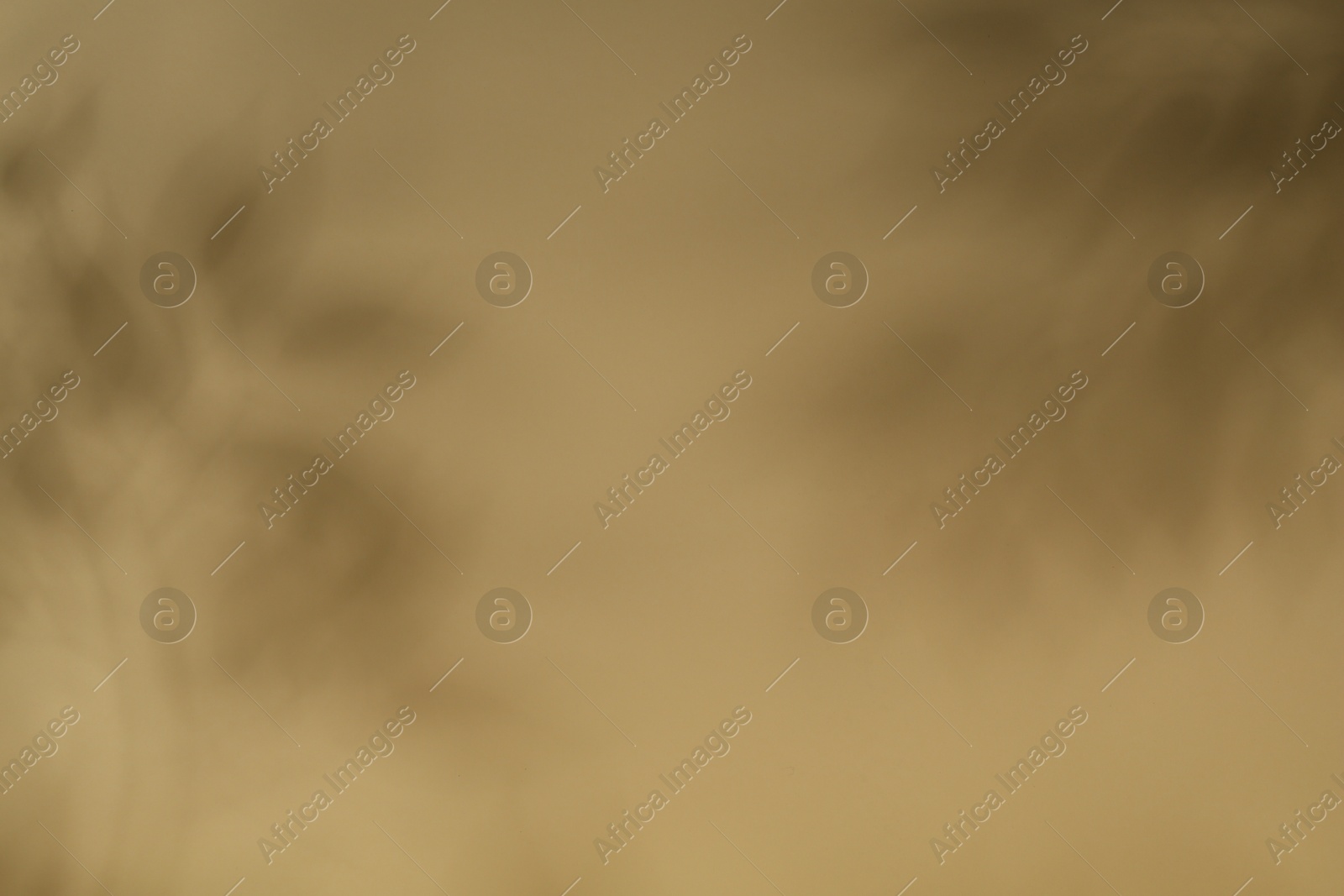 Photo of Light and shadows falling on beige background