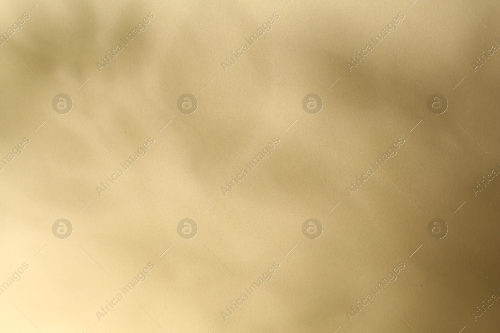 Photo of Light and shadows falling on beige background