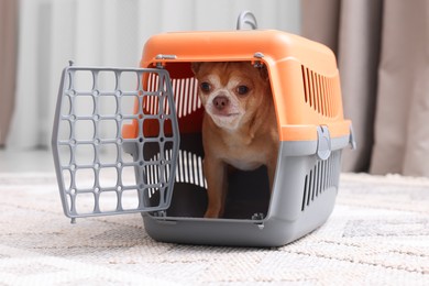 Photo of Adorable dog in pet carrier on floor indoors