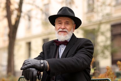 Elegant bearded man with walking cane on bench in park