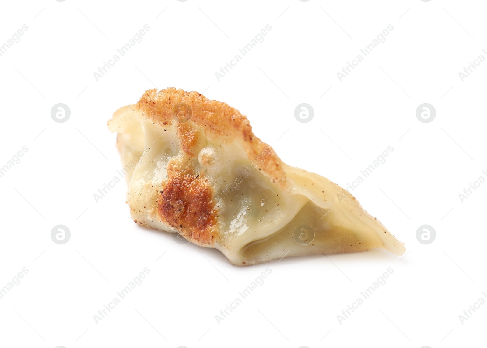 Photo of One fried gyoza dumpling isolated on white